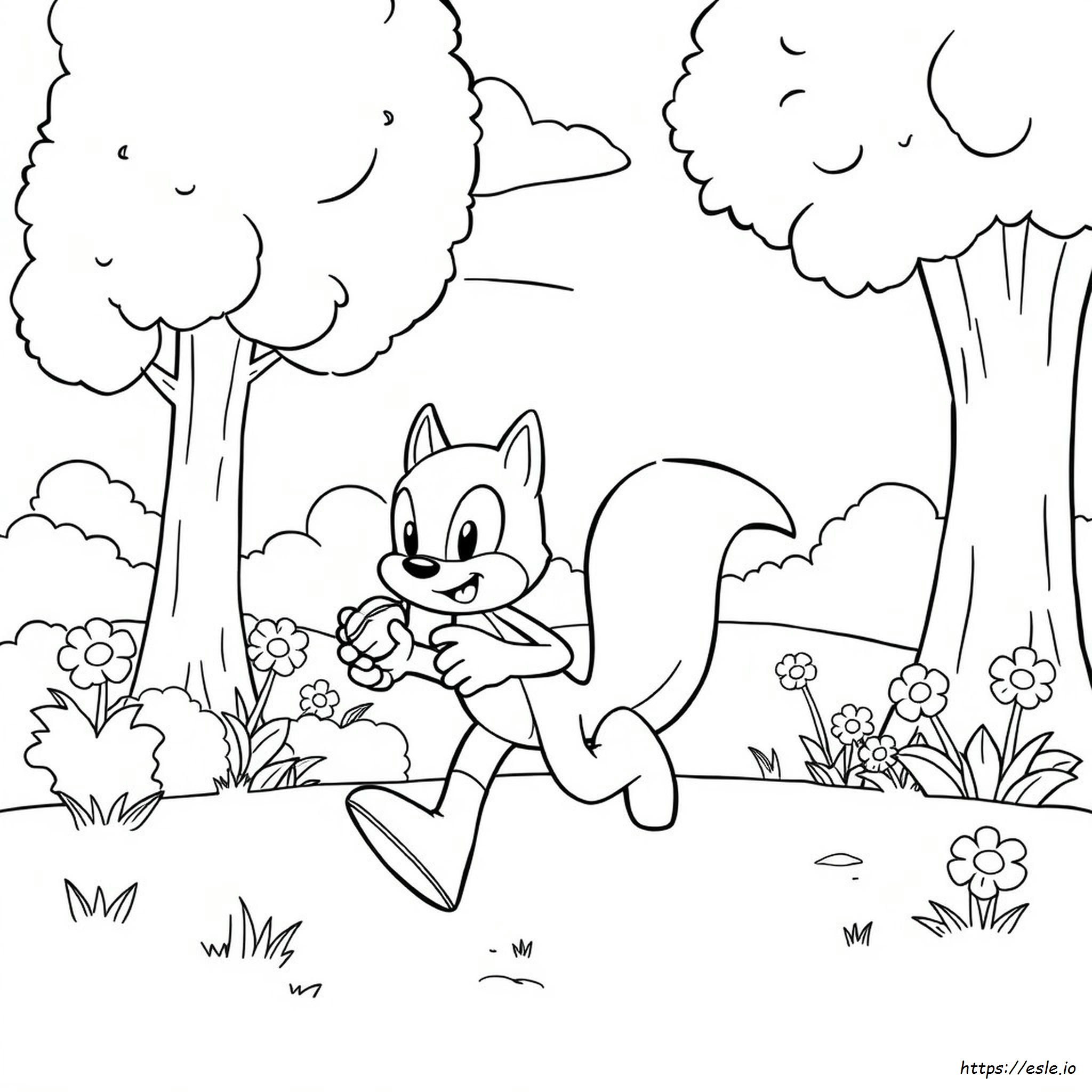 Sonic 1 Värityskuvat