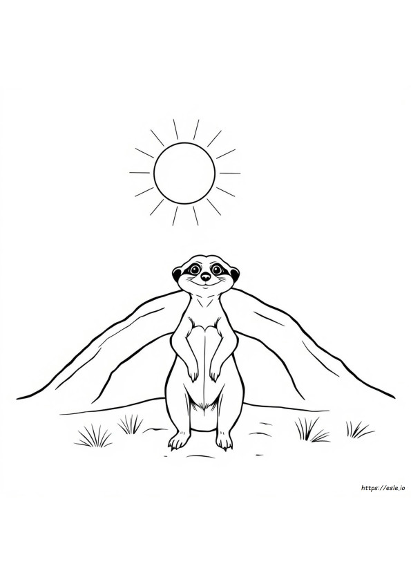 Erdmännchen Ausmalbilder