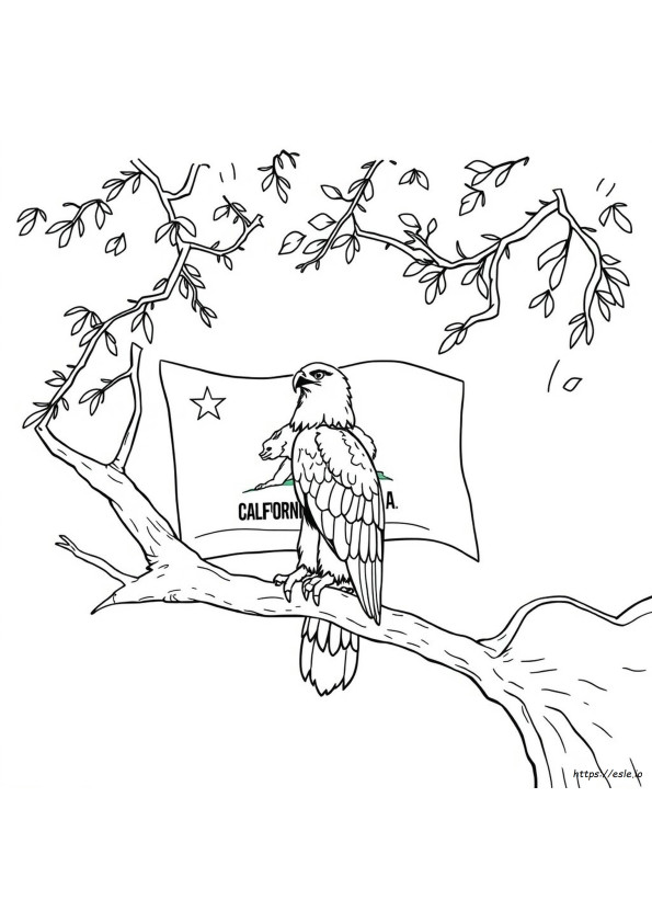 California State Bird Coloring Page