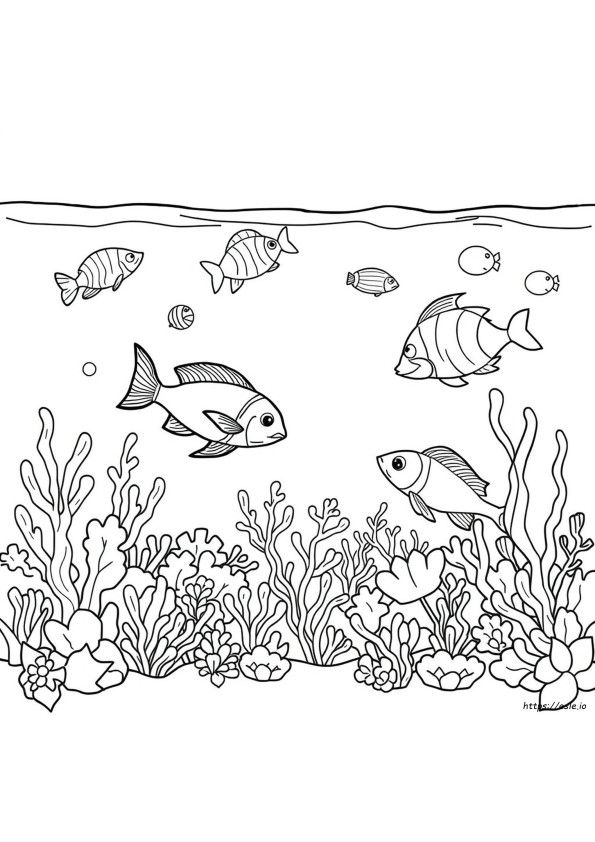 Aquatic Animals Coloring Pages