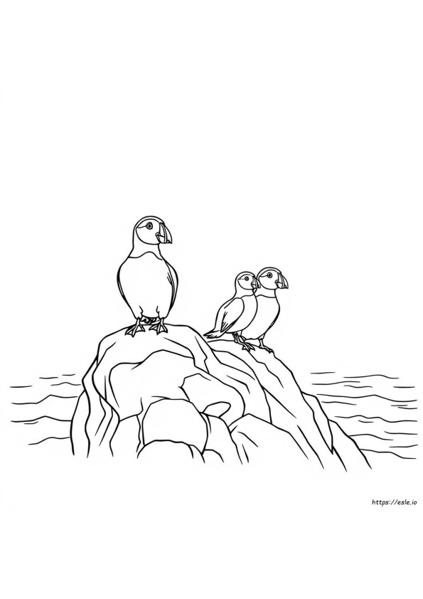 Kolorowanka Puffin Rock