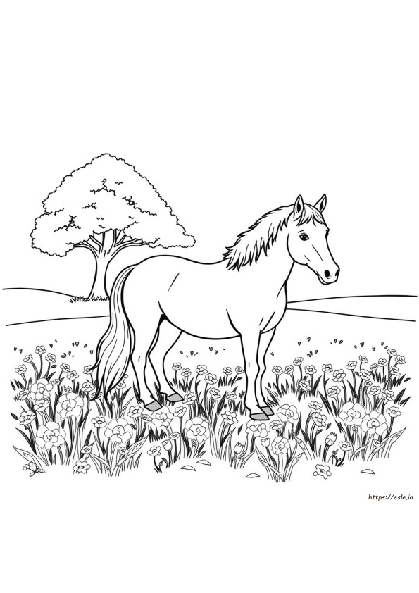 Realistic Horse Coloring