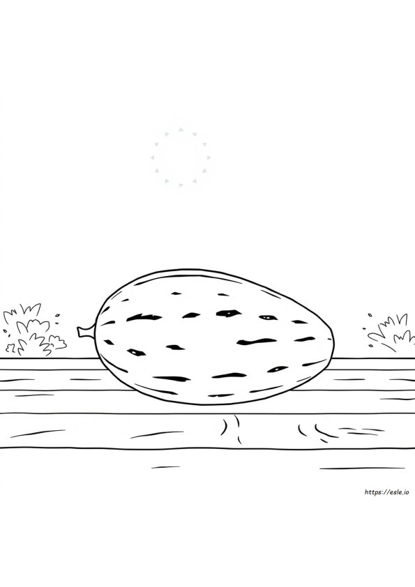 Melon For Coloring