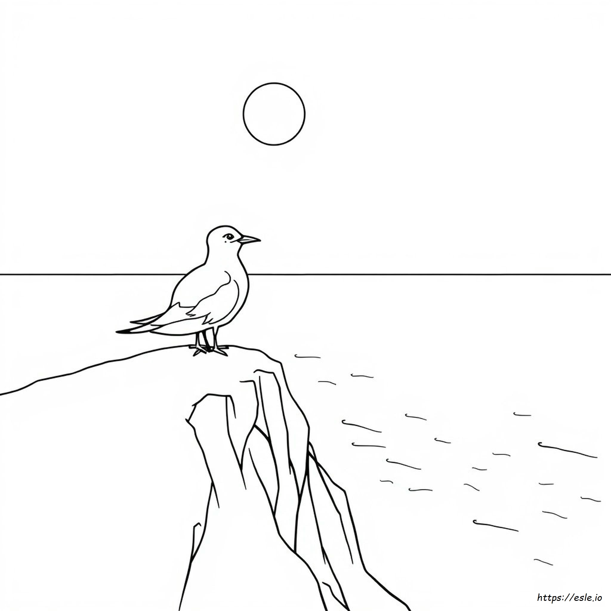 Burung Dara Laut Artik Gambar Mewarnai