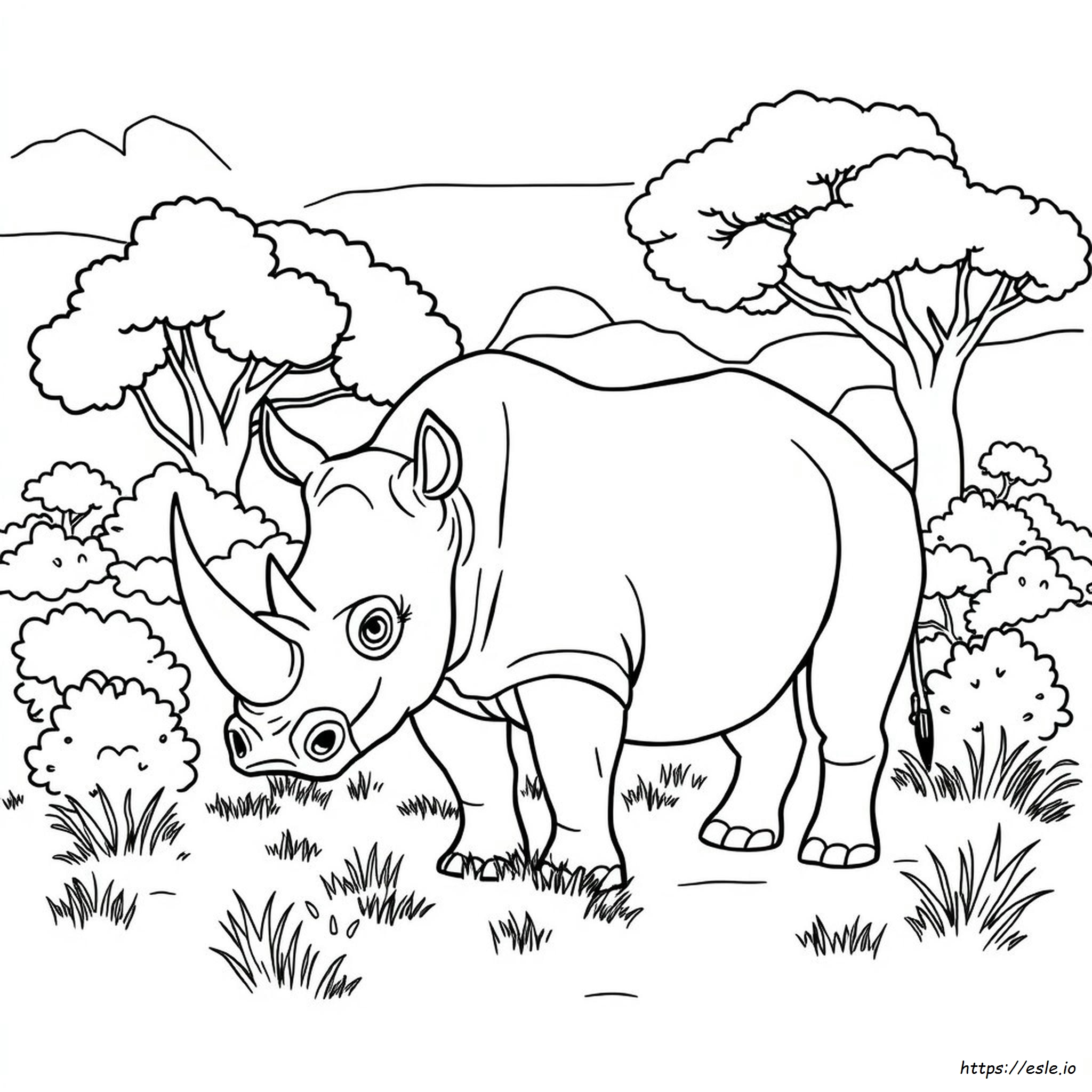 Rhino Colouring Pictures