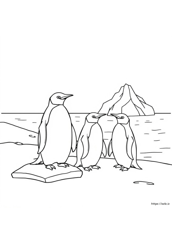Adelie Pinguin Ausmalbilder
