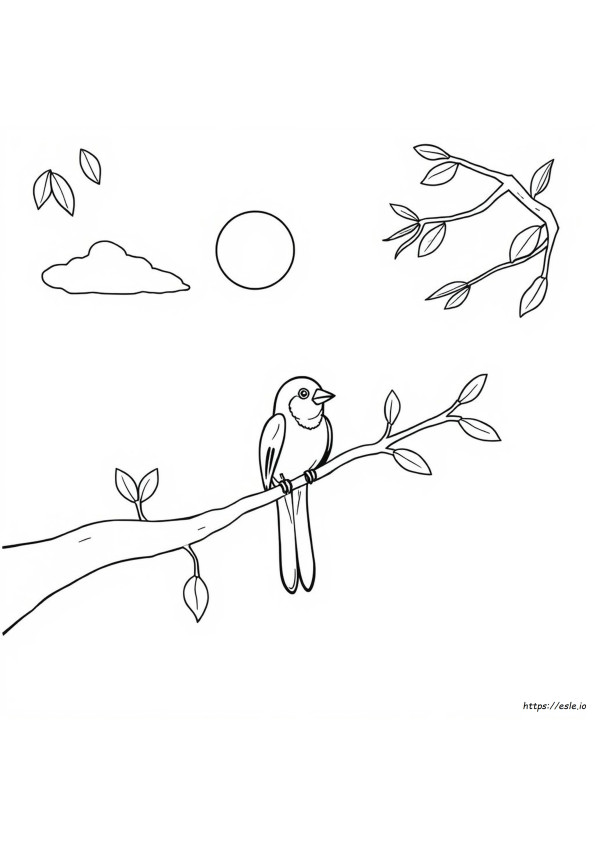 Coloriage Oiseau