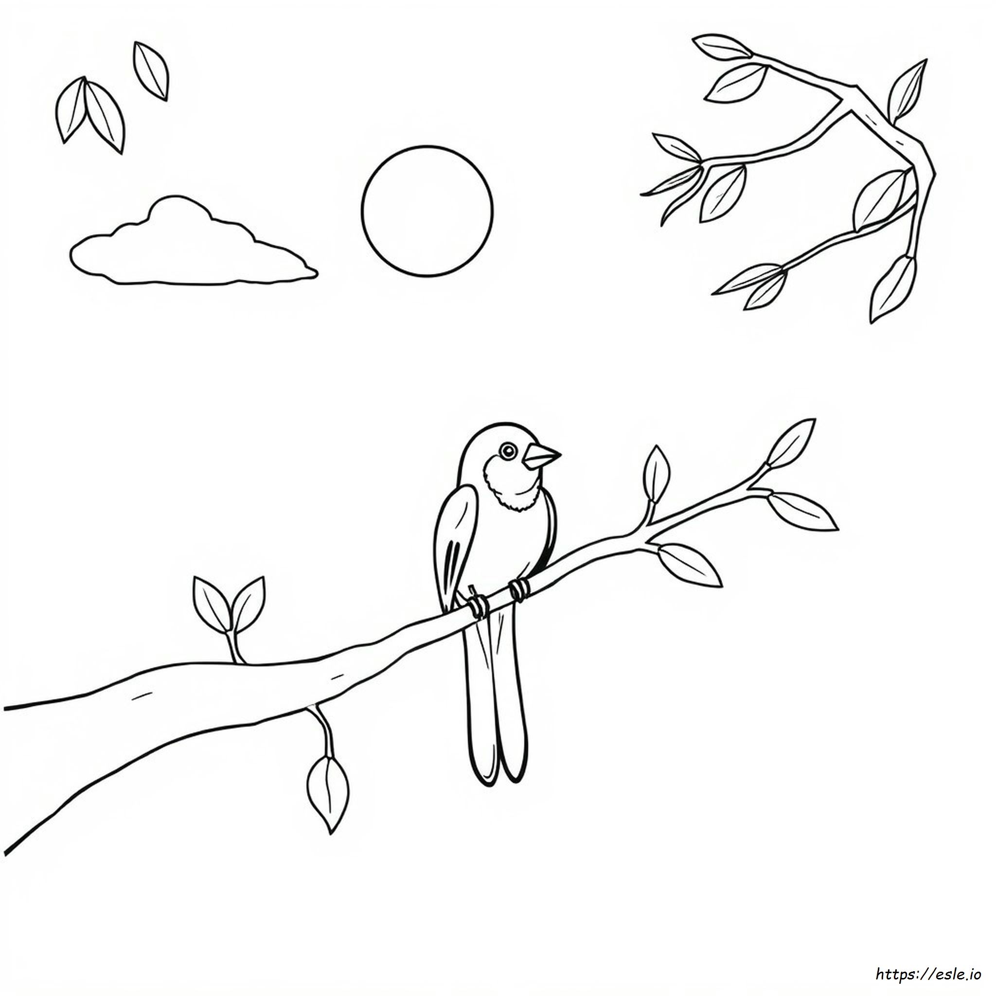 Bird Coloring Pictures