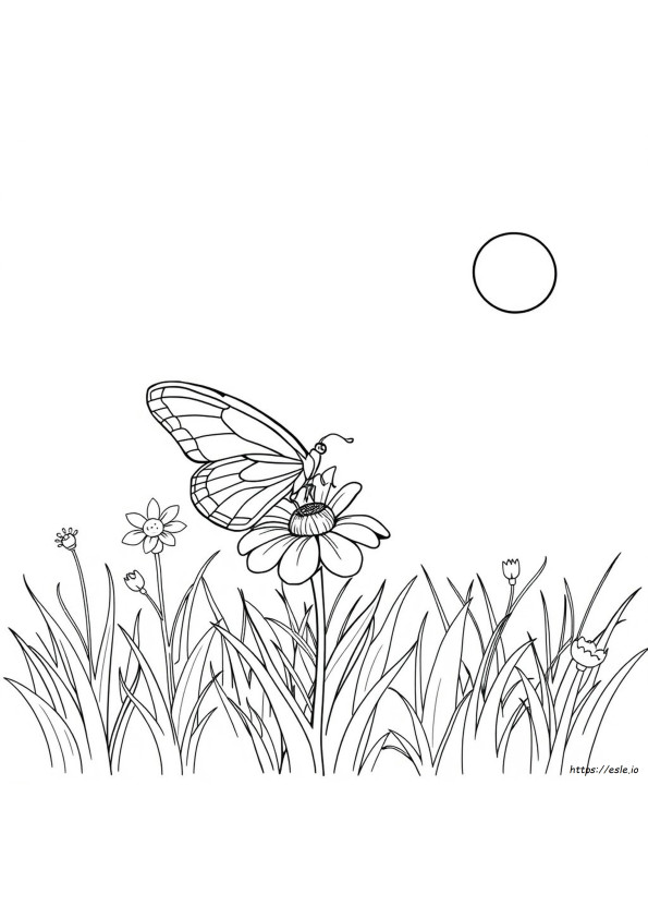 Prime Colouring