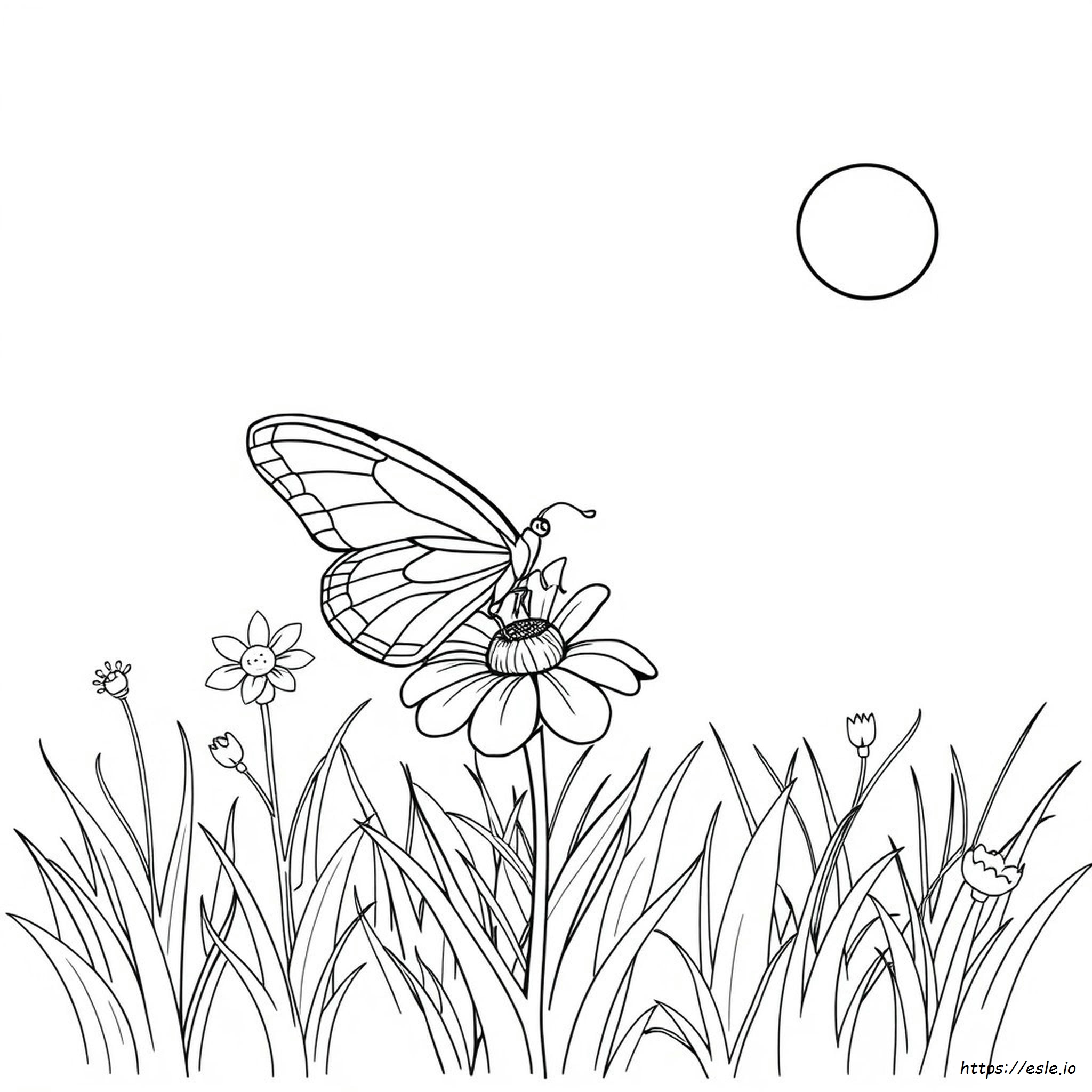 Coloriage Prime