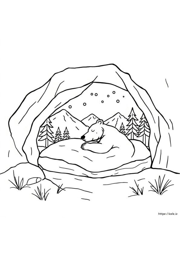 Colorado Bear Hibernation Schedule