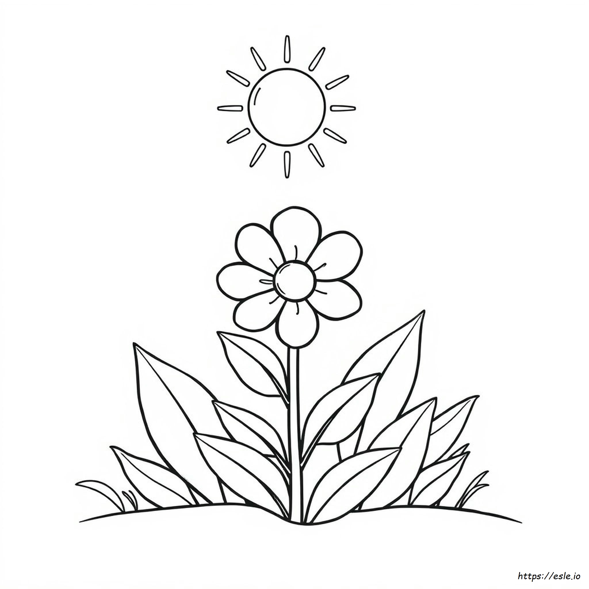 Dltk Flower Coloring Pages