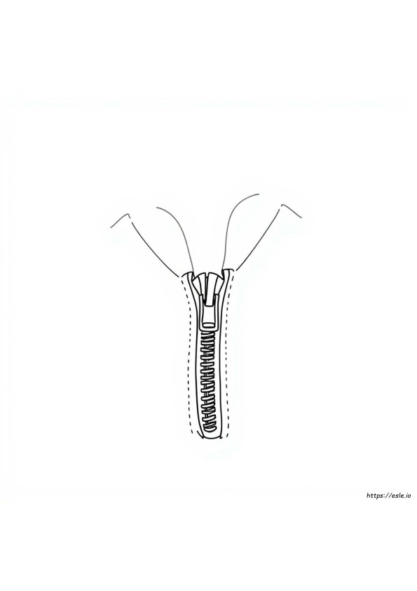 Disegni Zip Da Colorare