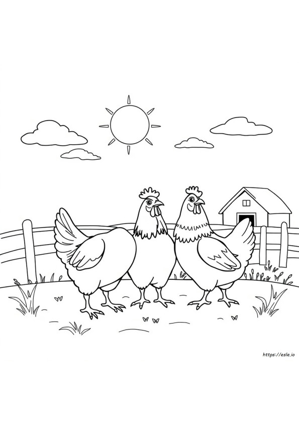 Hen Images For Colouring