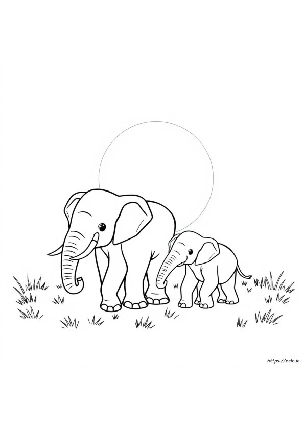 Elephant Coloring