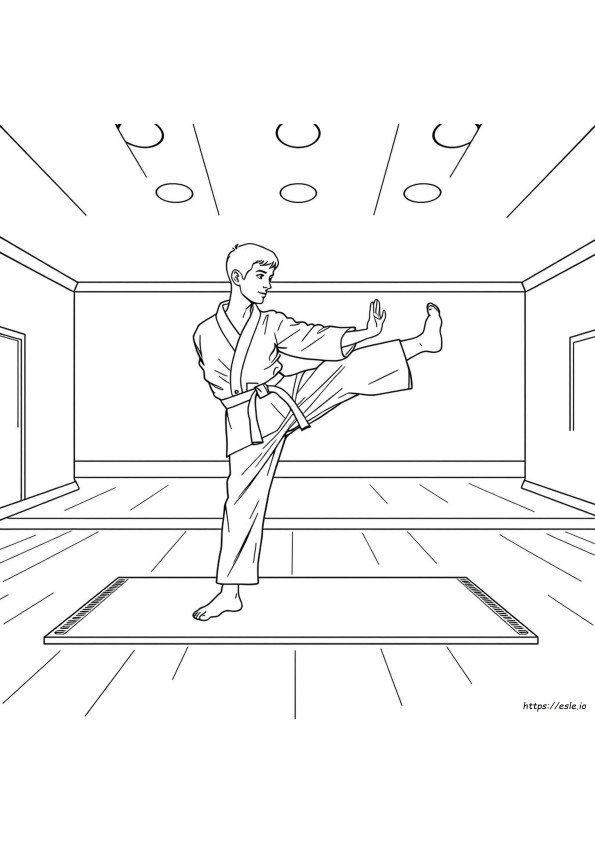 Taekwondo Coloring