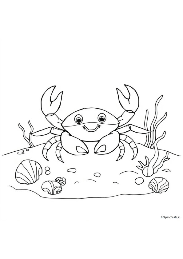 Crab De Colorat