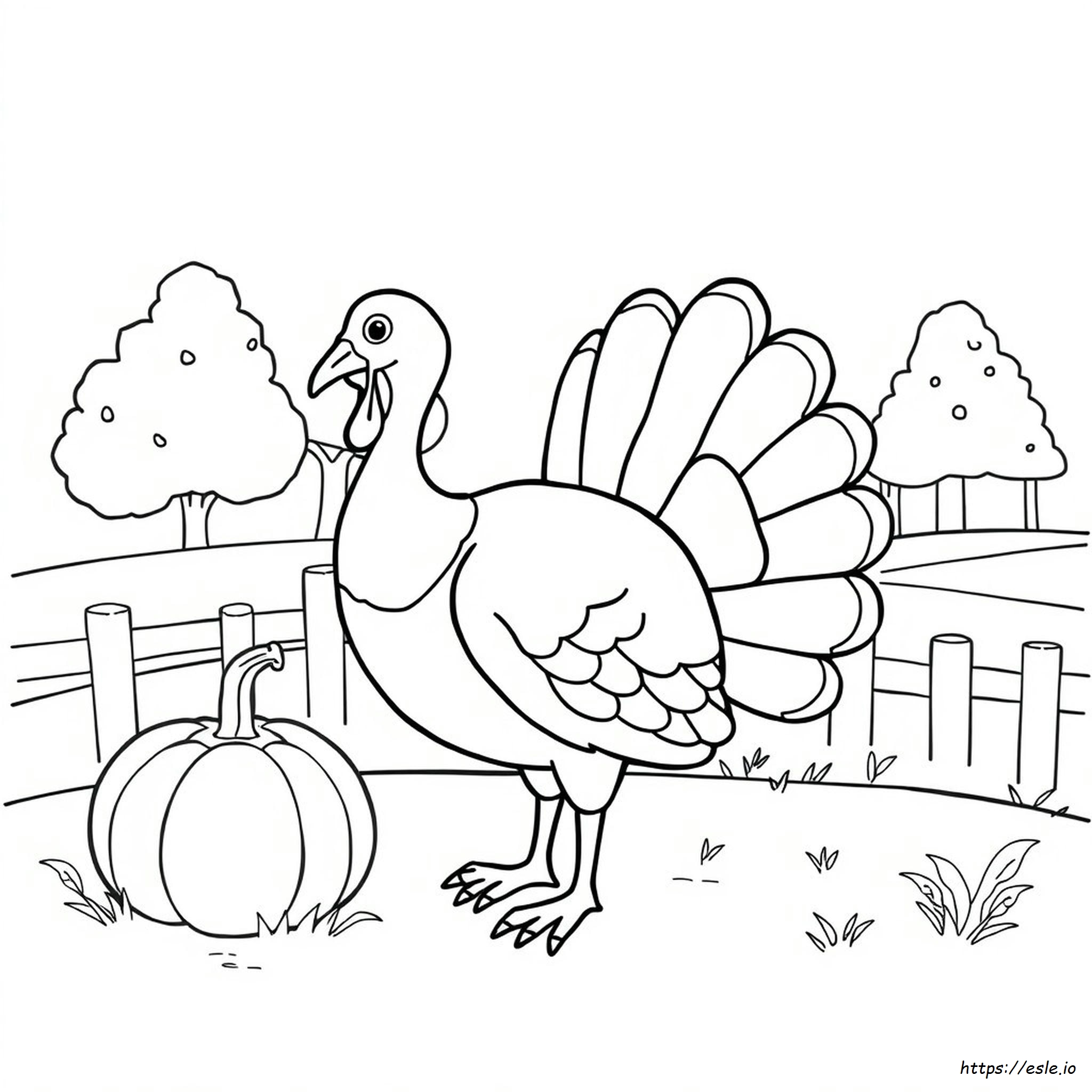 Turkey Pictures For Coloring