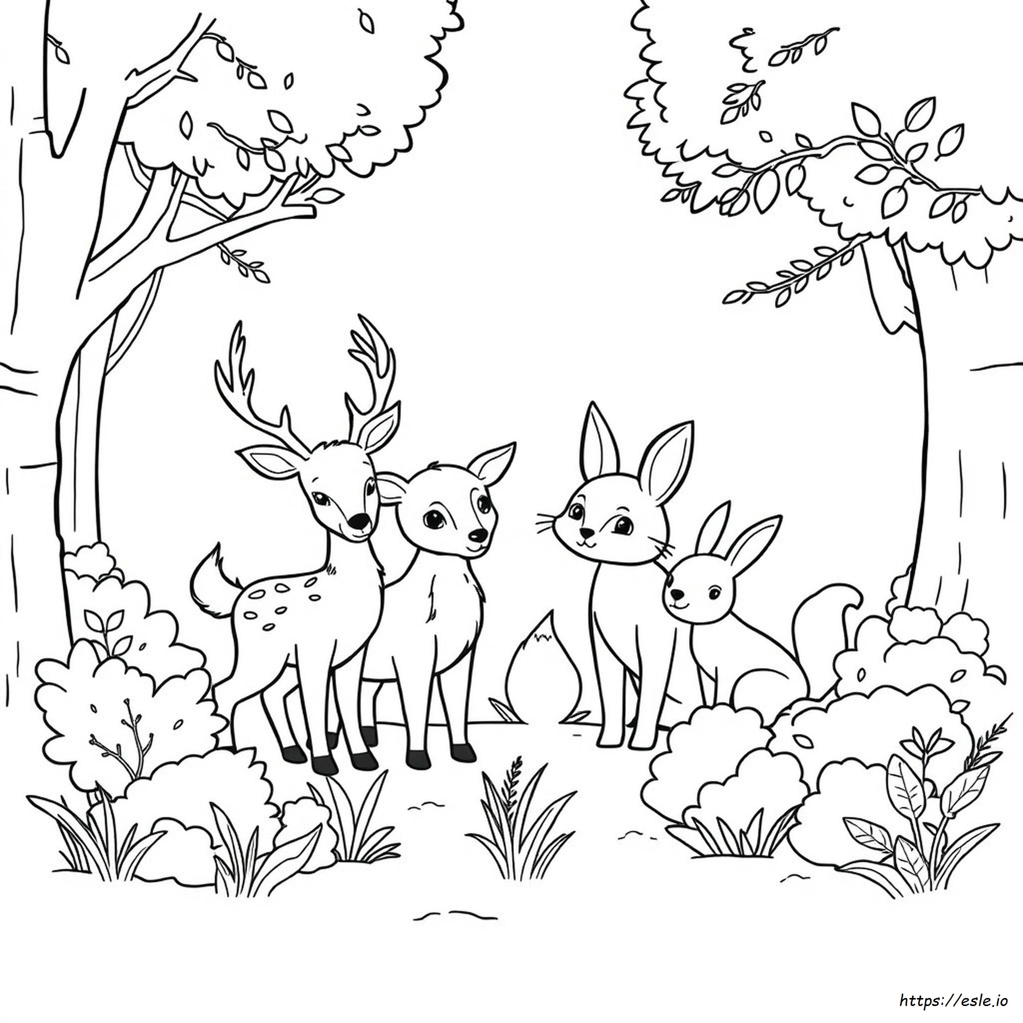 Animali Del Bosco Da Colorare Gratis Animali Del Bosco Da Colorare Gratis