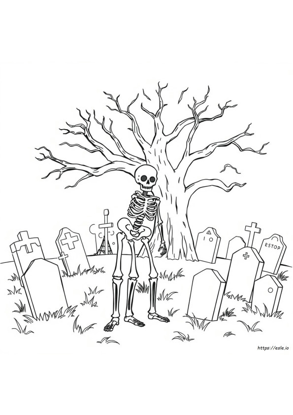 Skeleton Colouring In Pages
