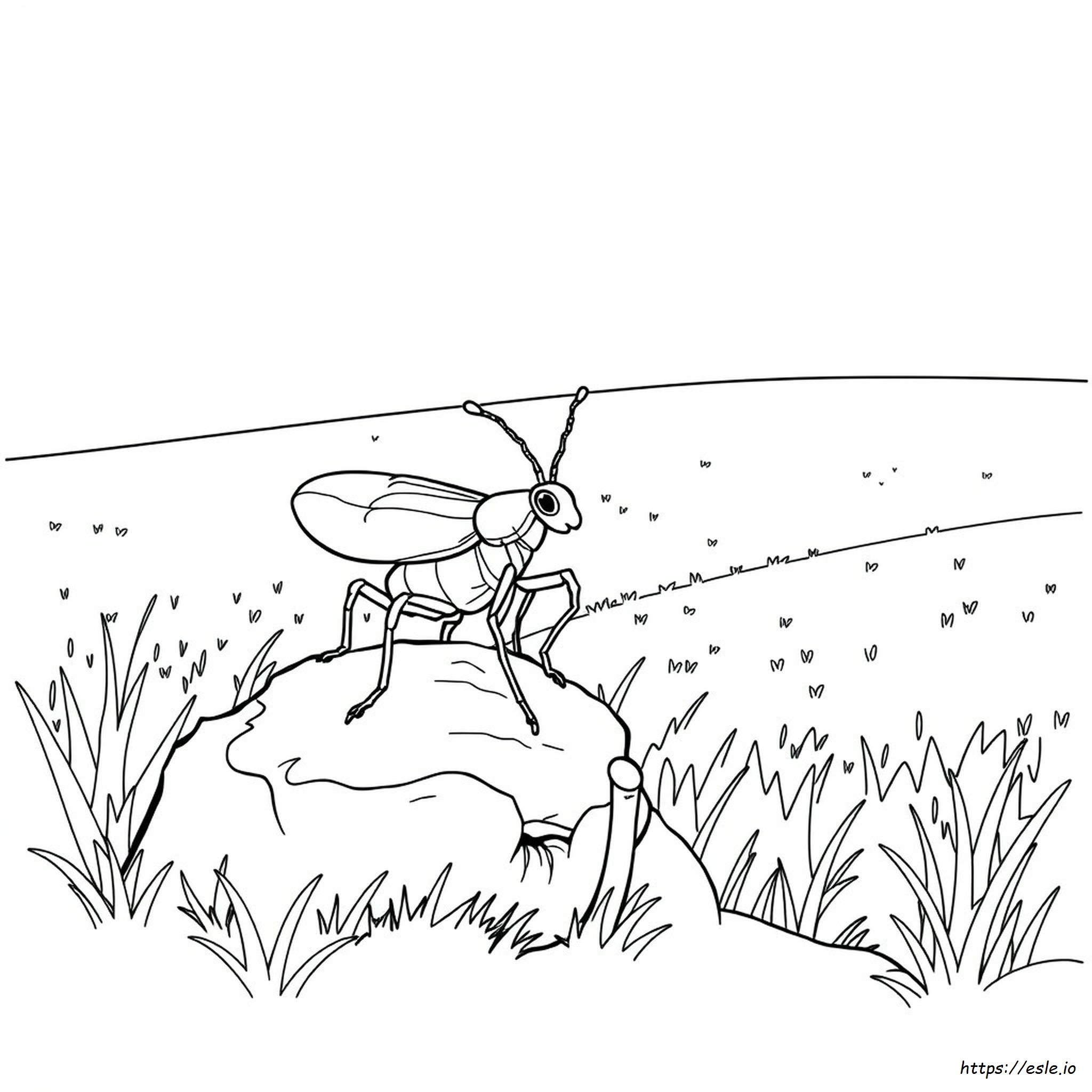 Lembar Kerja Mewarnai Arthropoda