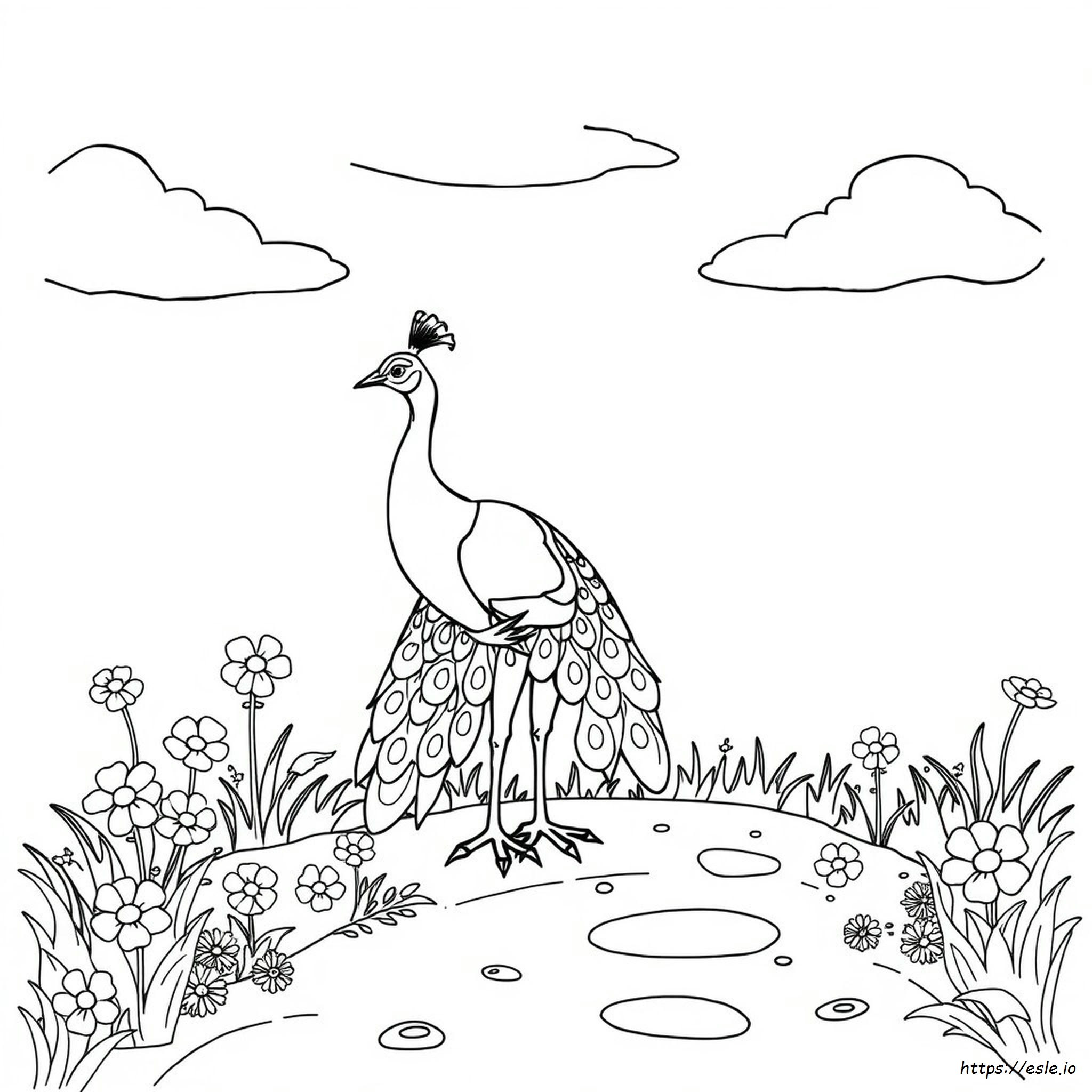 Peacock Black And White For Colouring