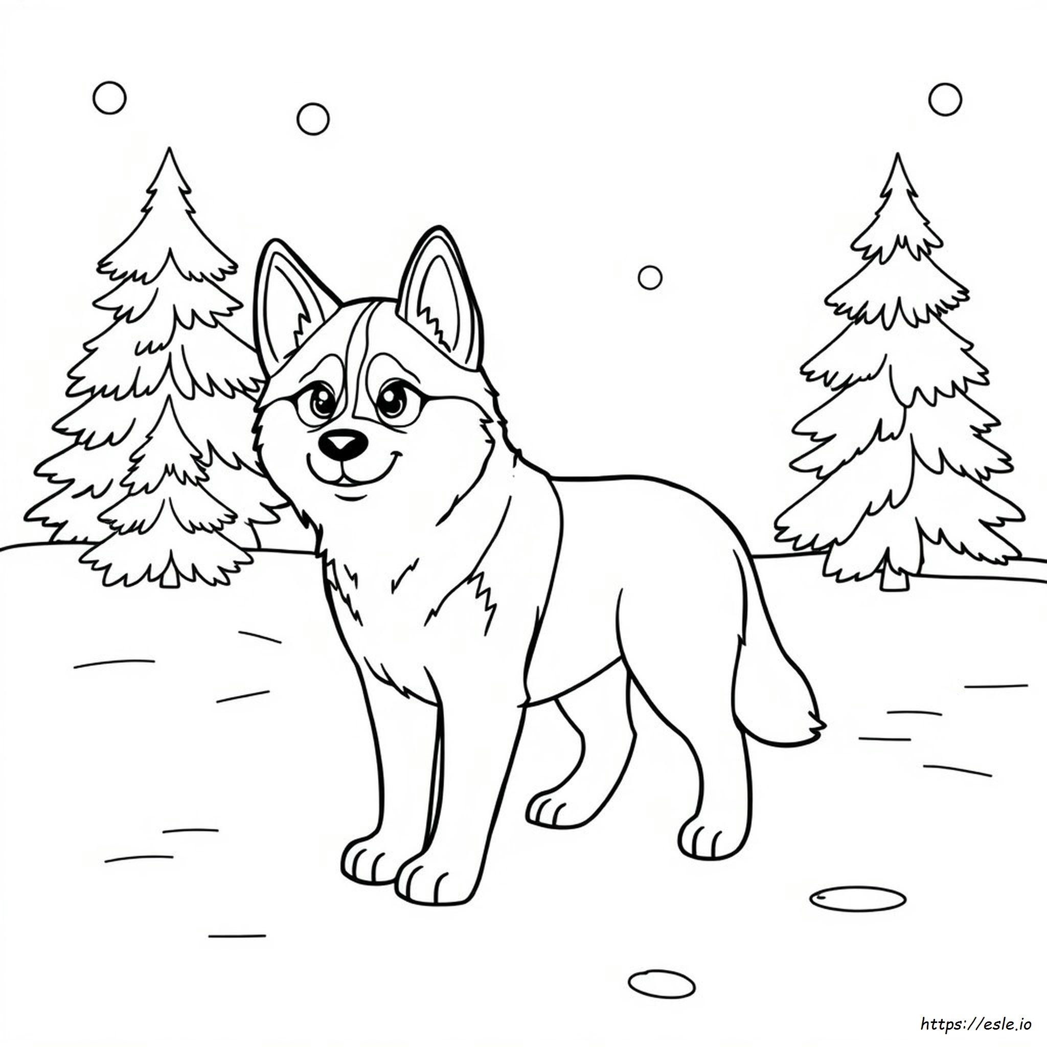Cute Husky Coloring Pages