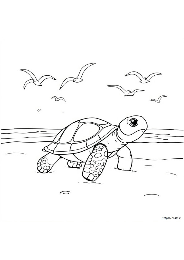 Turtle Coloring Pages For Preschoolers