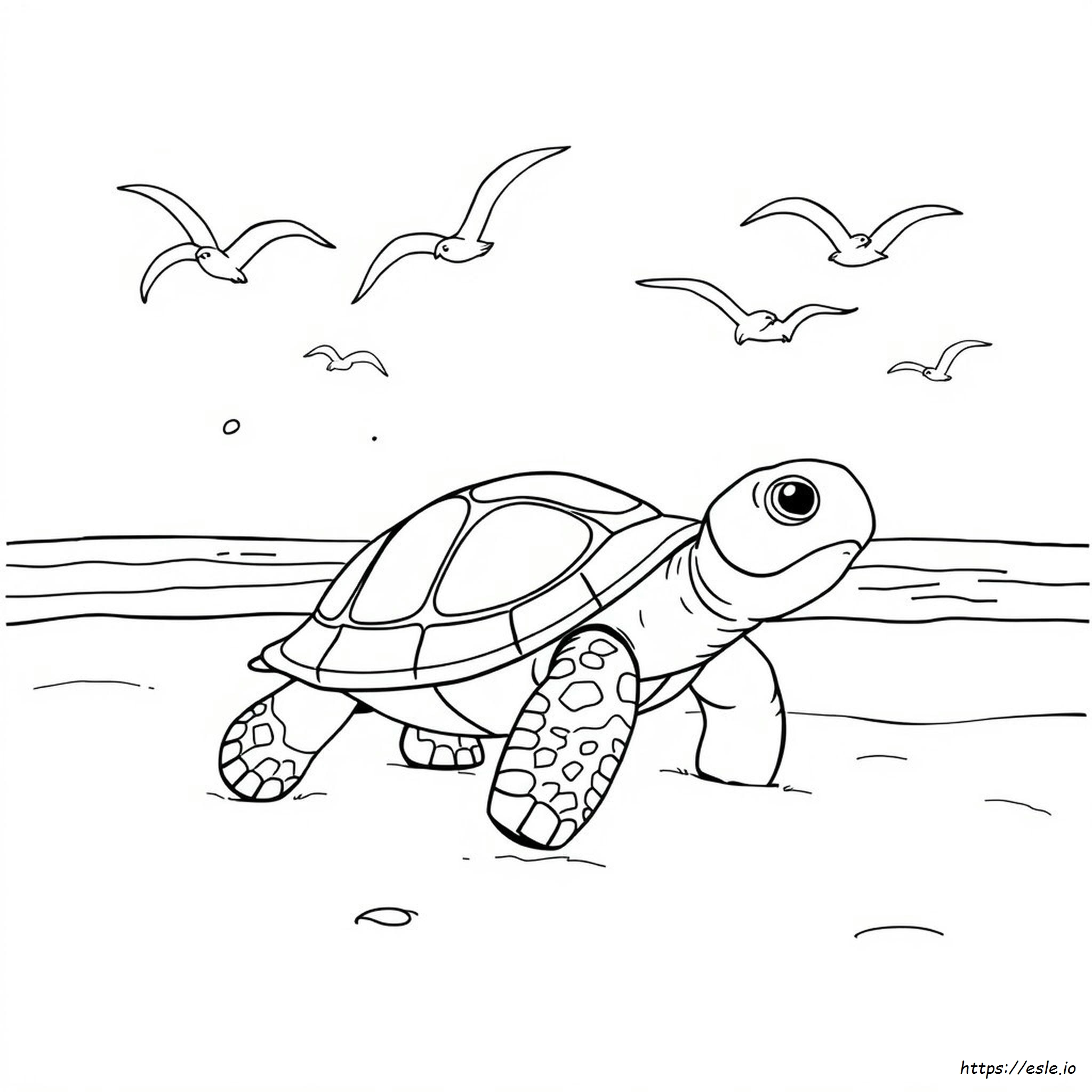 Turtle Coloring Pages For Preschoolers