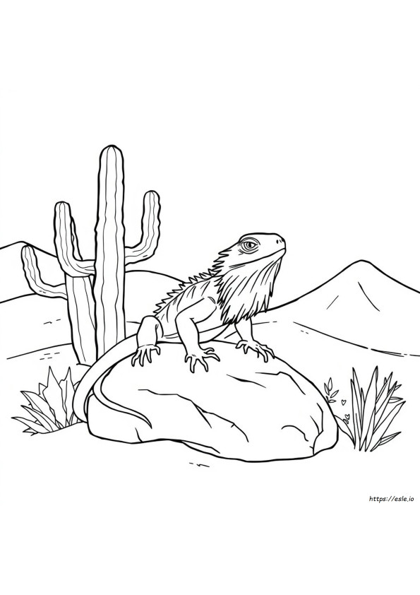 Printable Bearded Dragon Coloring Page