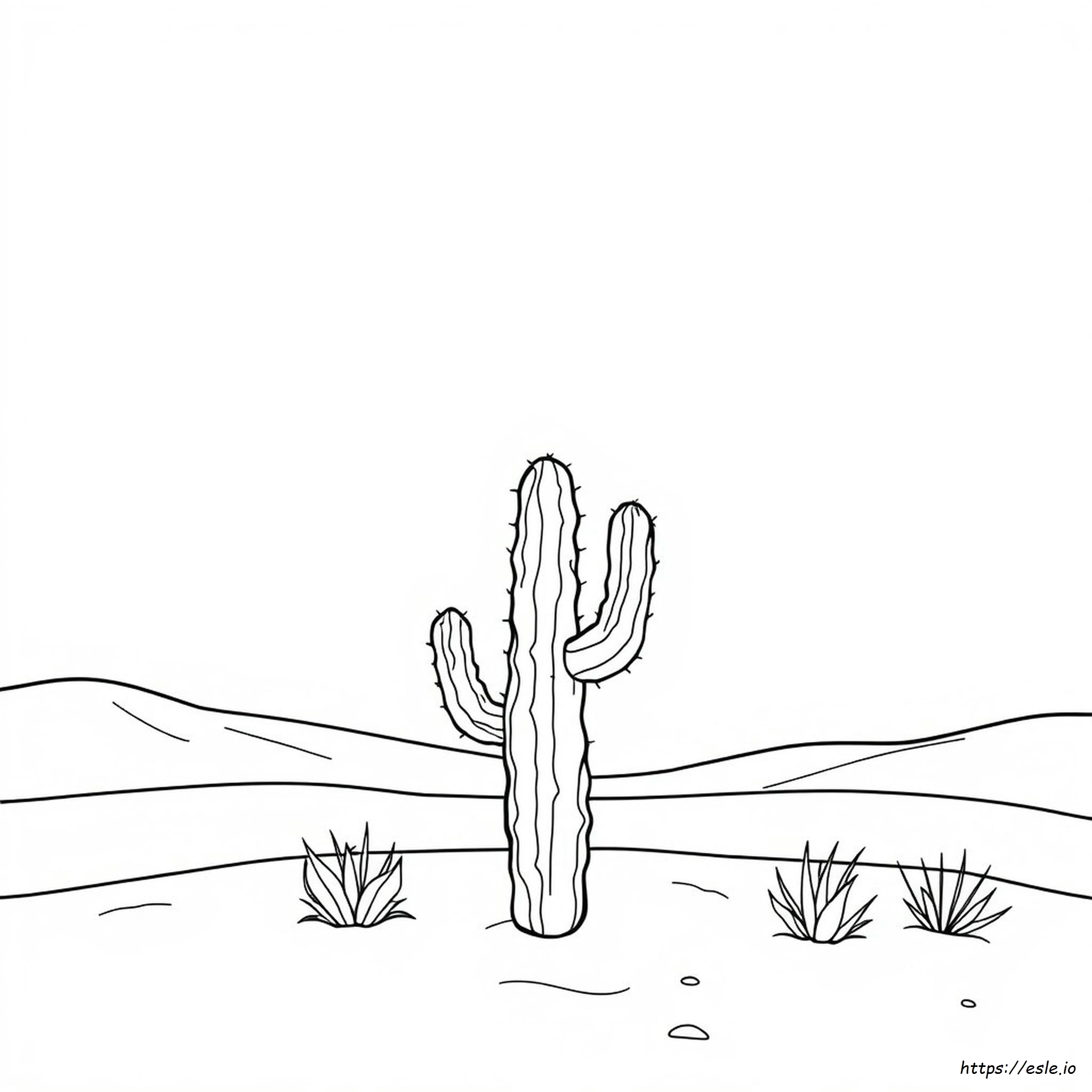 Coloring Pictures Of Cactus