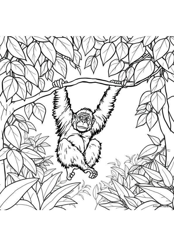 Coloriage Orang-Outan