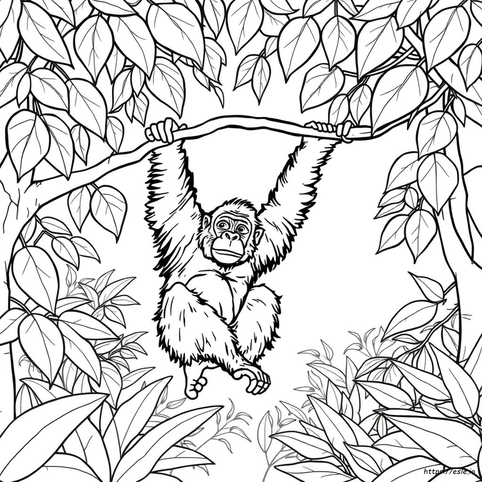 Orangutan Colouring