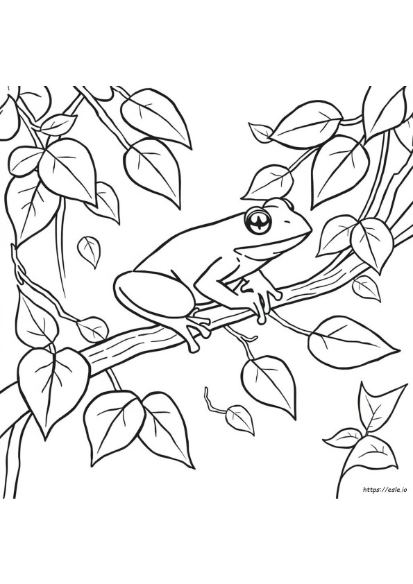 Rana Arborícola Para Colorear