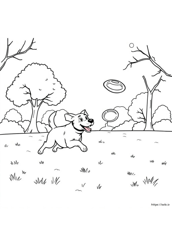 Chase Picture To Colour