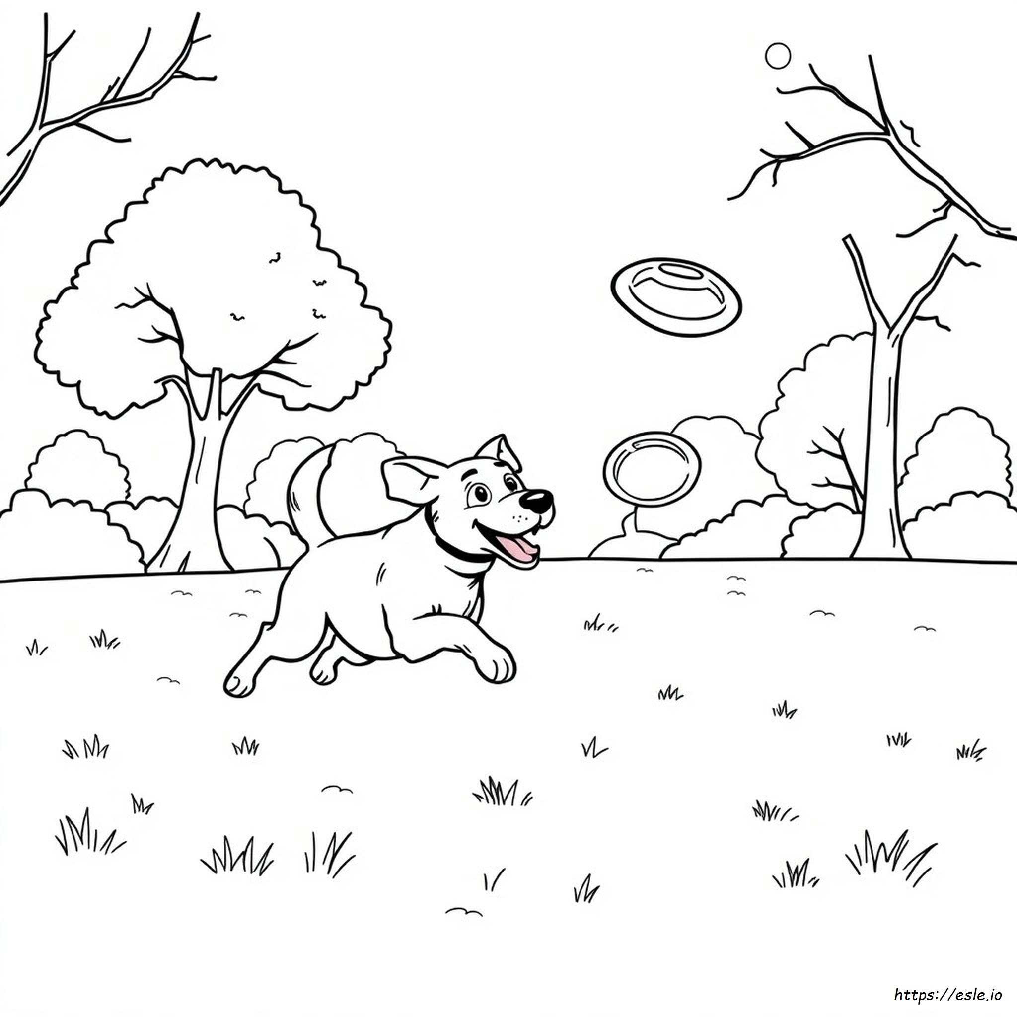 Chase Picture To Colour