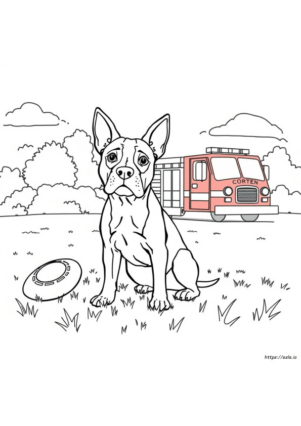 American Staffordshire Terrier Coloring Page