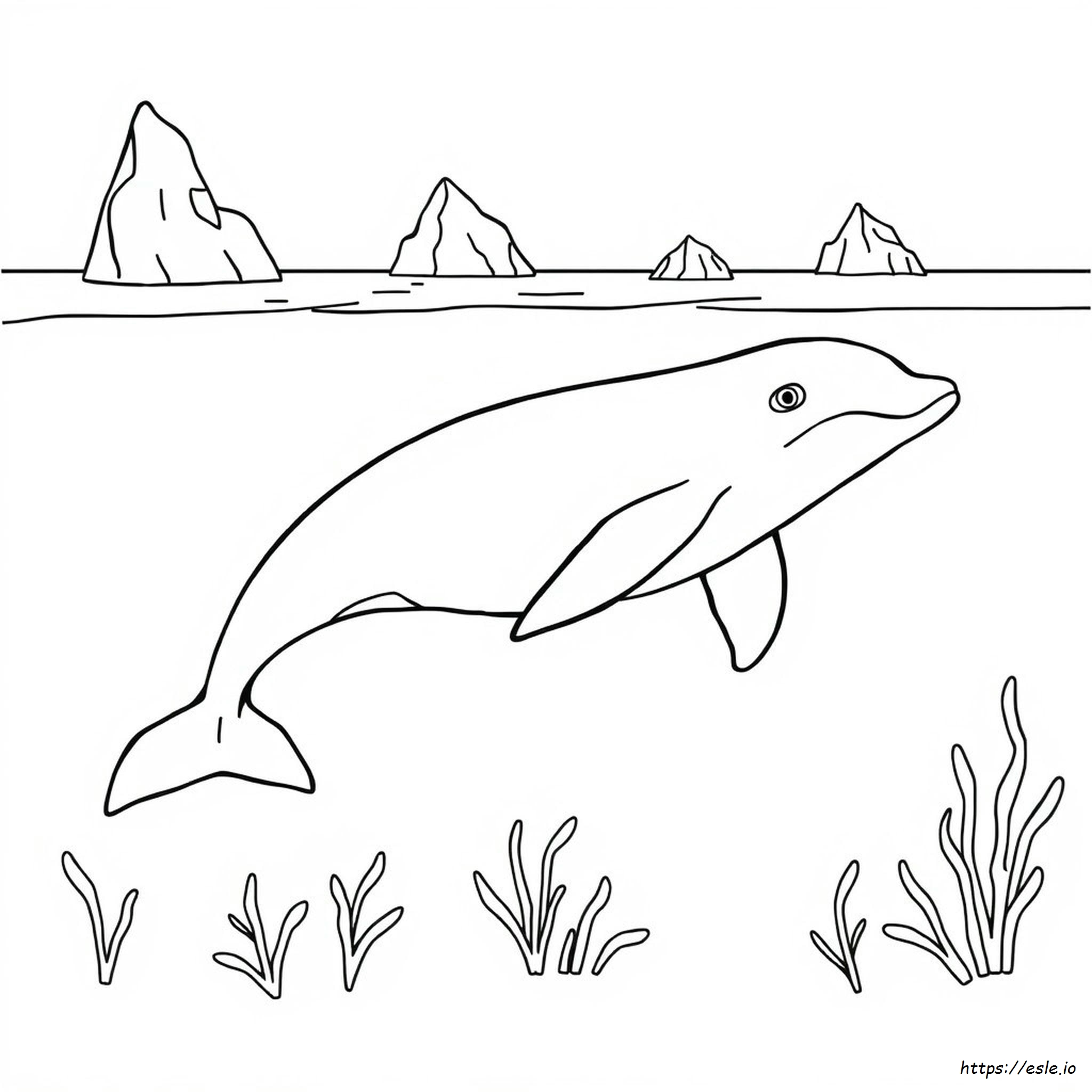 Baleia Beluga Para Colorir