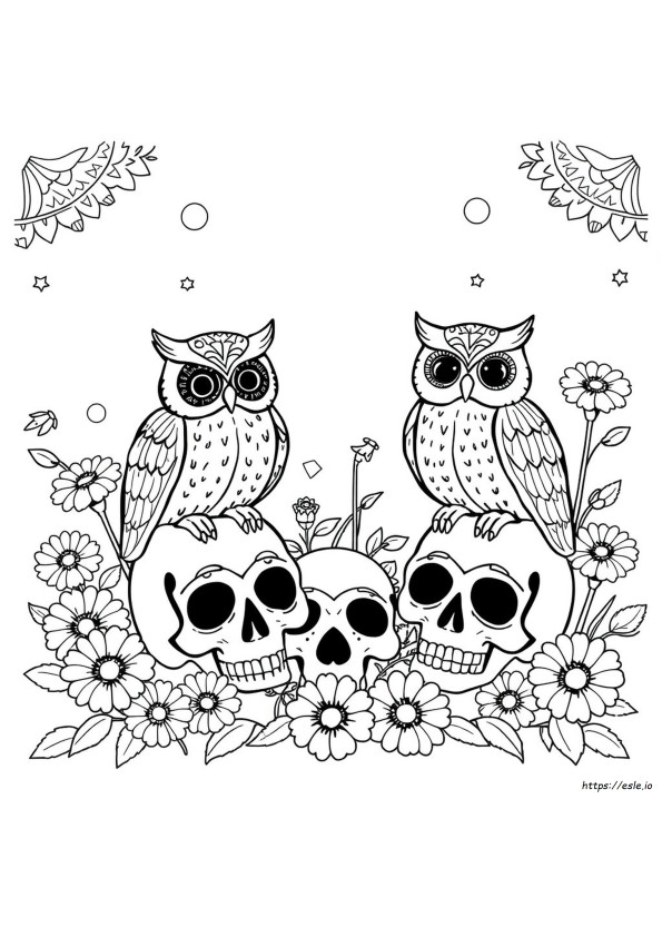 Day Of The Dead Owl Coloring Pages