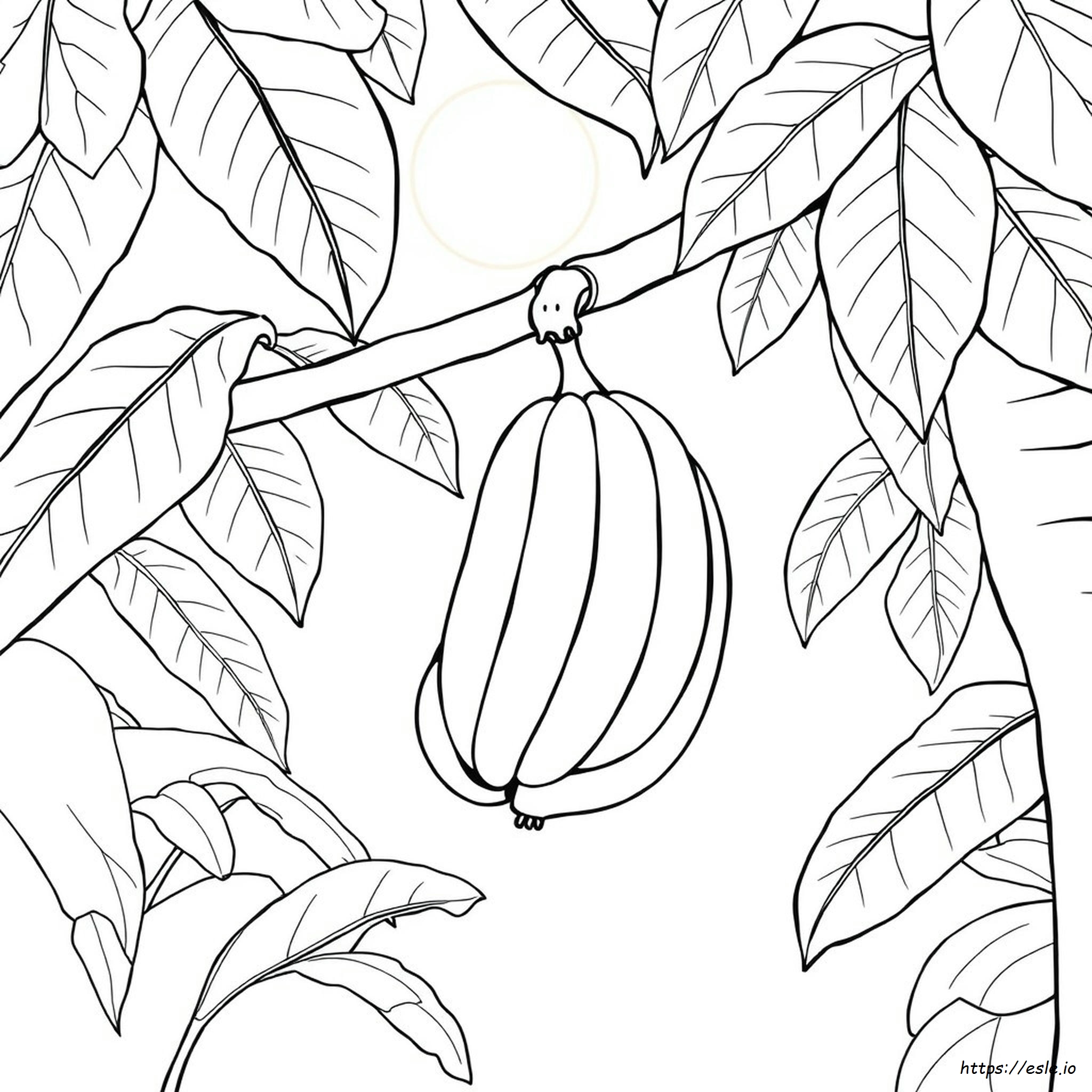 Gambar Mewarnai Pisang