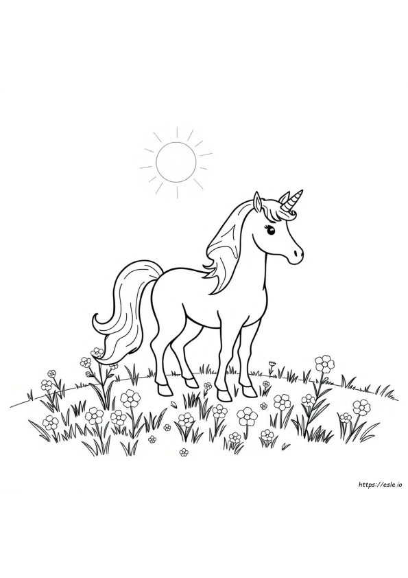 Unicorn Pony Coloring Pages