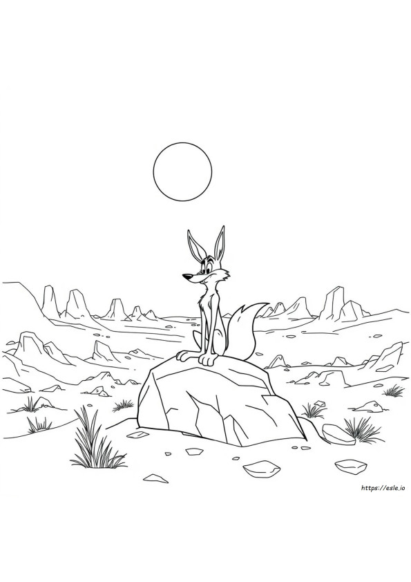 Wile Coyote Para Colorir