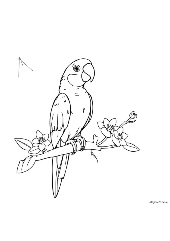 How To Color A Parrot
