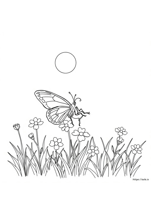 Pillangó Clip Art Színezéshez