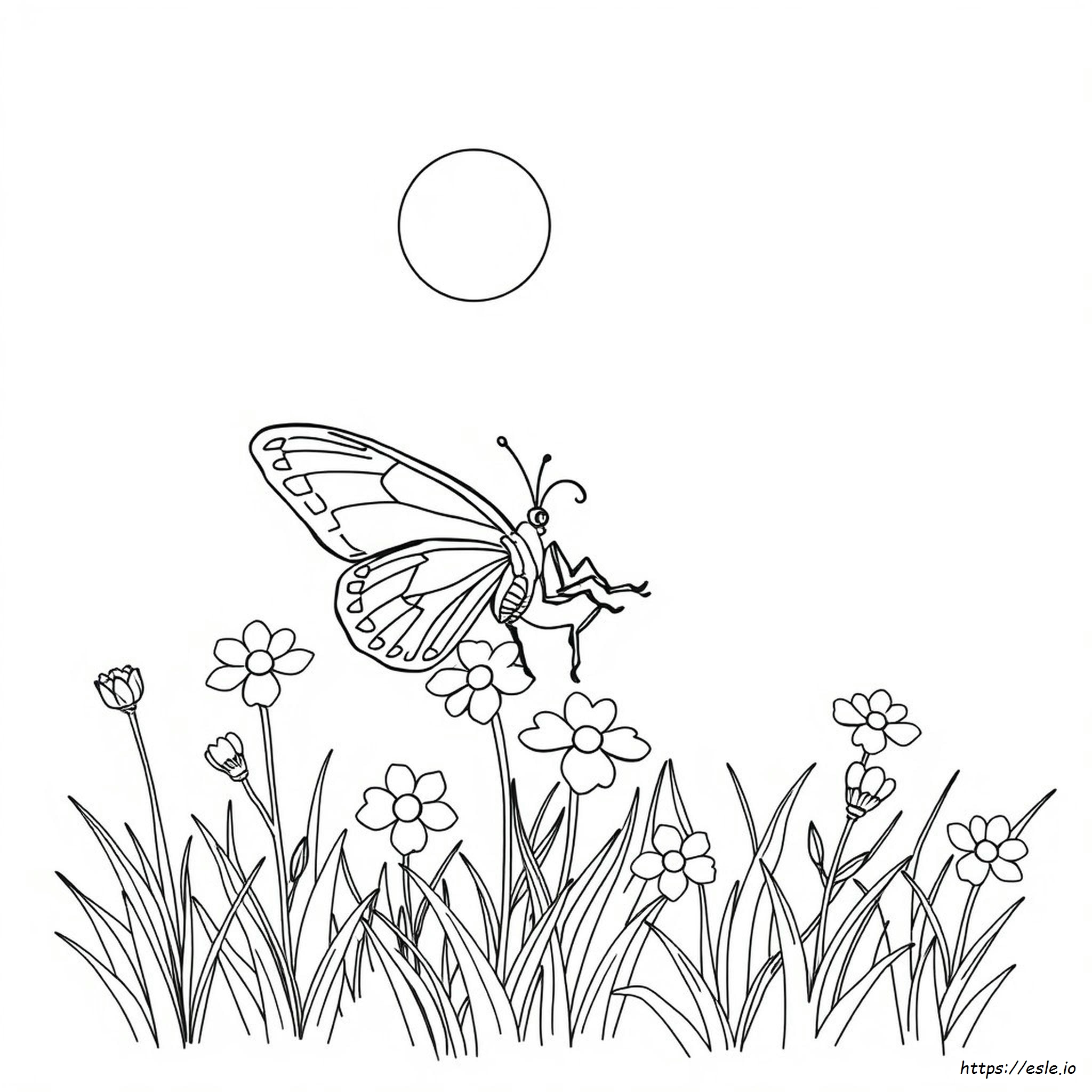 Gambar Clipart Kupu-Kupu Untuk Mewarnai