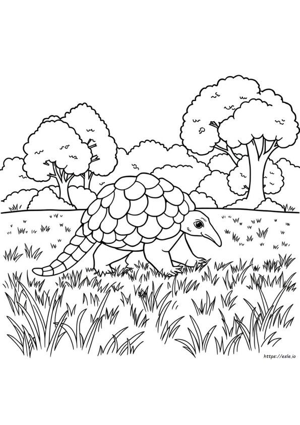 Pangea Coloring Page