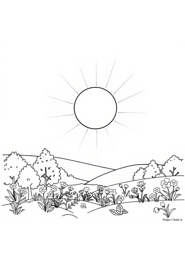Sunlight Is In Which Colour
