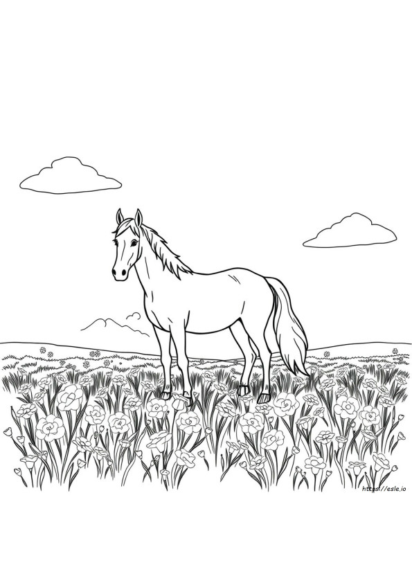Eu Amo Cavalos Para Colorir