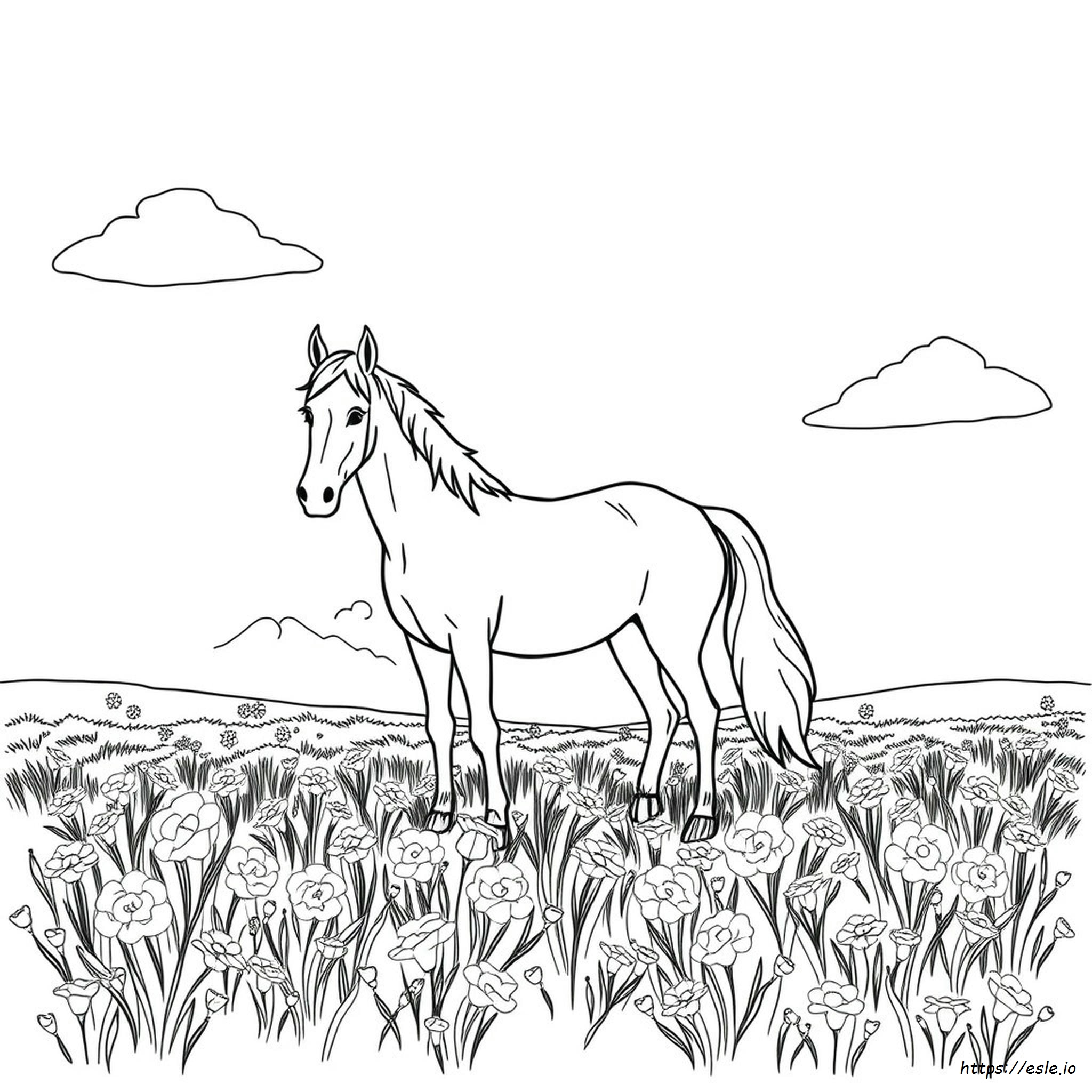 I Love Horses Coloring Pages