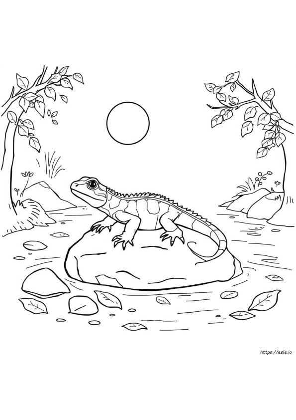 Dibujos Para Colorear De Reptiles Imprimibles